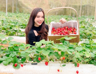 Mua Sắm Đặc Sản Đà Lạt: Kinh Nghiệm Mua Sắm Chất Lượng Cho Người Yêu Đà Lạt
