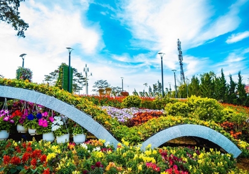 TOUR ĐÀ LẠT TẾT ÂM LỊCH TỪ HỒ CHÍ MINH