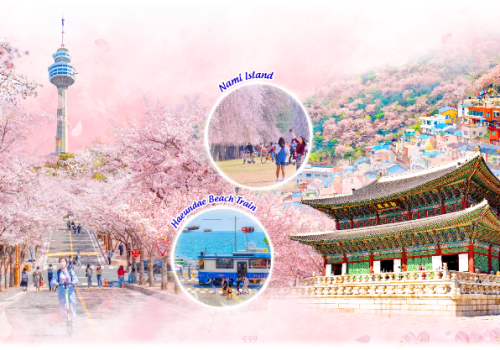 TOUR BUSAN - GYEONGJU - ULSAN - SEOUL 6 NGÀY 5 ĐÊM