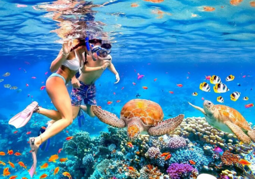 NHA TRANG SCUBA DIVING TOUR | 1 DAY