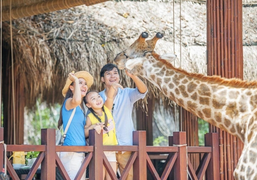 SAFARI & VINWONDERS PHU QUOC FULL-DAY TOUR