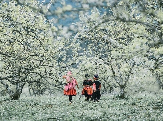 Vietnam Tourist Tân Bình