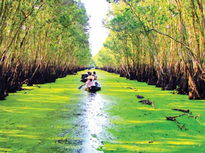Vietnam Tourist Tân Bình