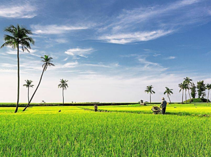 Vietnam Tourist Tân Bình