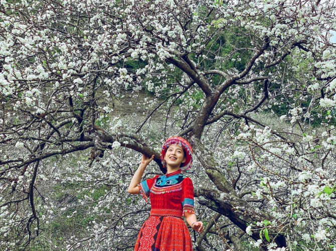 Vietnam Tourist Tân Bình