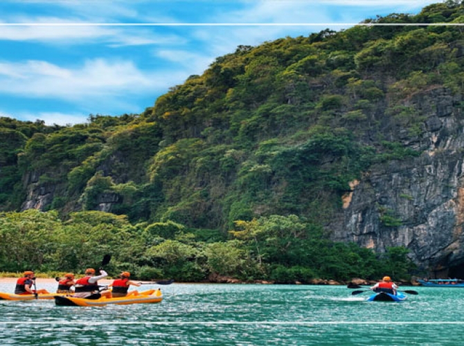Vietnam Tourist Tân Bình