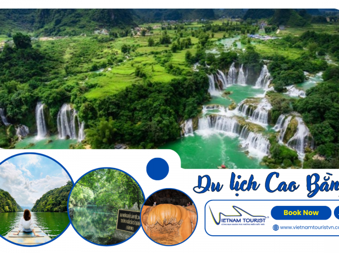 Vietnam Tourist Tân Bình