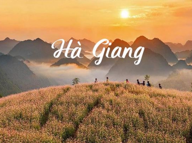 Vietnam Tourist Tân Bình