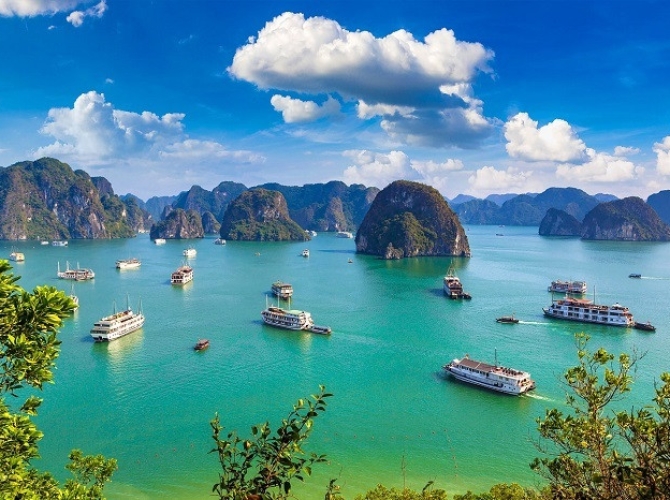 Vietnam Tourist Tân Bình