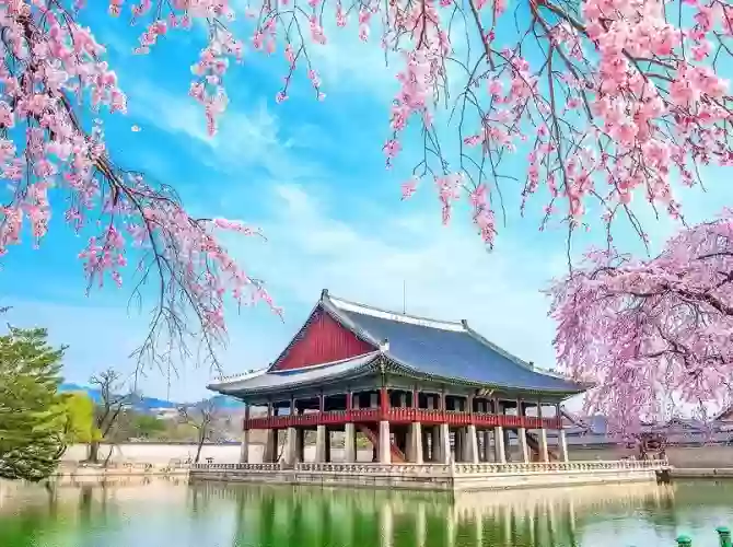 Vietnam Tourist Tân Bình