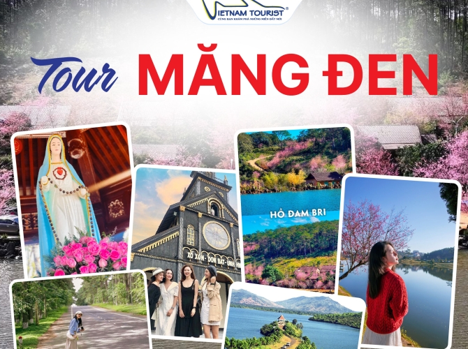 Vietnam Tourist Tân Bình