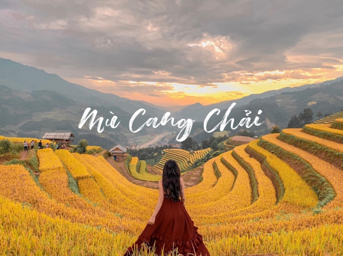 Vietnam Tourist Tân Bình