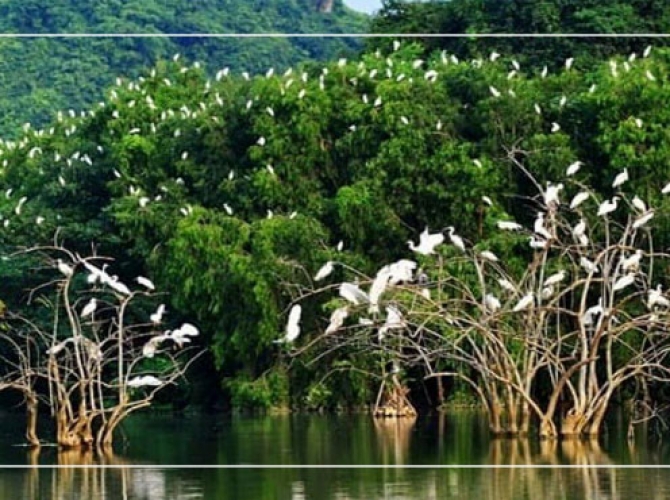 Vietnamtourist Tân Bình