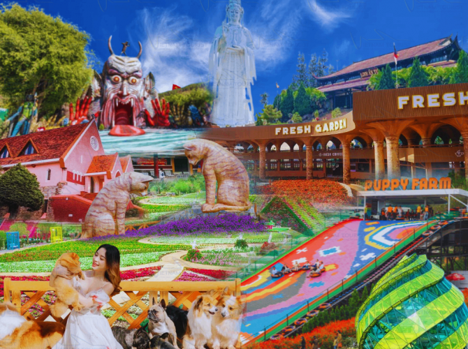 Vietnam Tourist Tân Bình