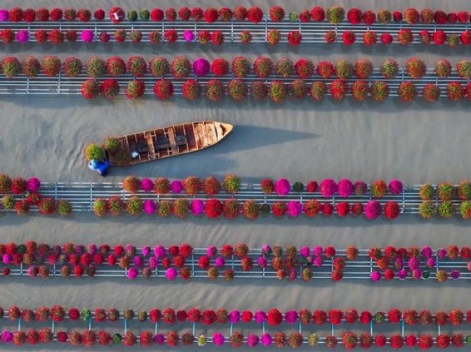 Vietnam Tourist Tân Bình