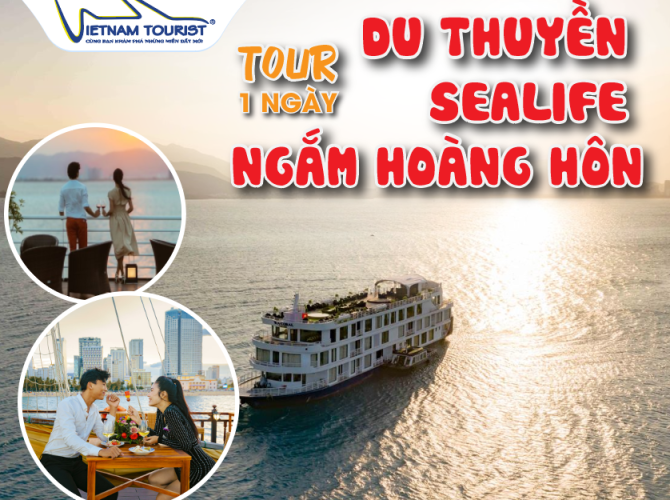 Vietnam Tourist Tân Bình