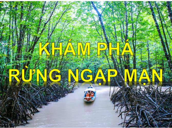 Vietnam Tourist Tân Bình