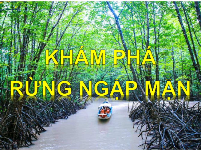 Vietnamtourist Tân Bình