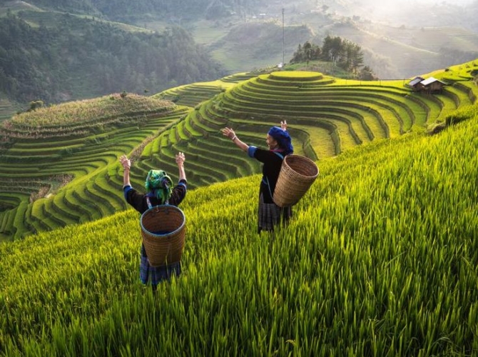 Vietnam Tourist Tân Bình