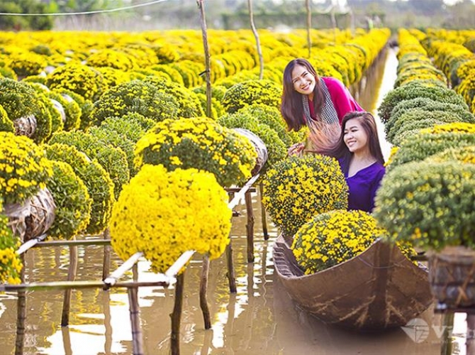 Vietnam Tourist Tân Bình