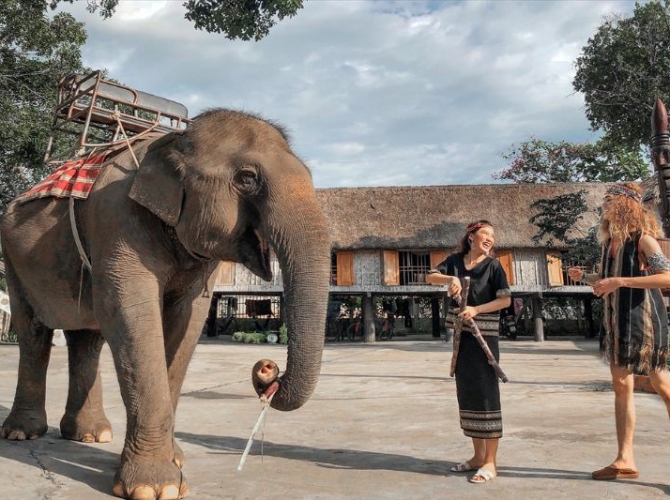 Vietnam Tourist Tân Bình