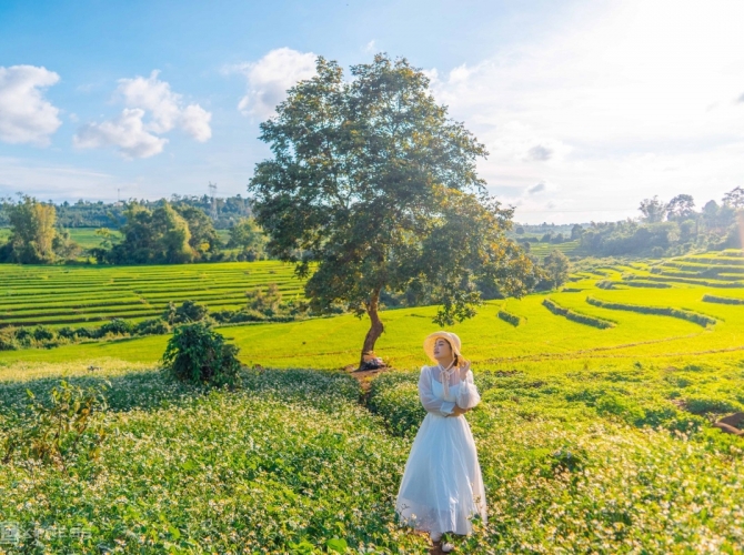 Vietnam Tourist Tân Bình