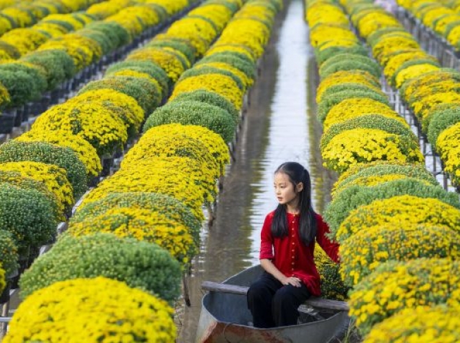 Vietnam Tourist Tân Bình