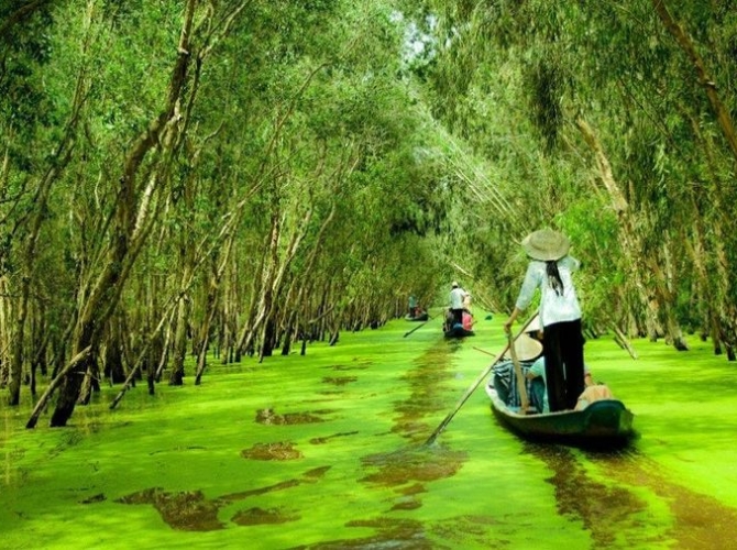 Vietnam Tourist Tân Bình