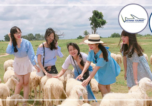 TOUR BÌNH CHÂU - HỒ CỐC - VŨNG TÀU 3N2Đ