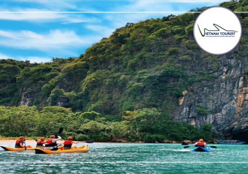 TOUR ĐỘNG PHONG NHA – VŨNG CHÙA – BIỂN ĐÁ NHẢY 1 NGÀY