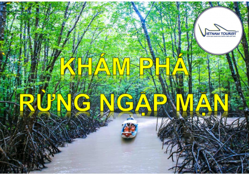 TOUR RỪNG NGẬP MẶN 1 NGÀY 