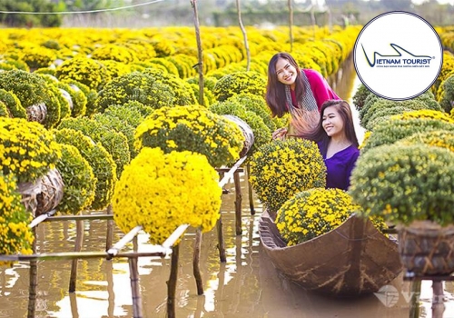 TOUR LÀNG HOA SA ĐÉC - VƯỜN QUÝT HỒNG LAI VUNG 1 NGÀY